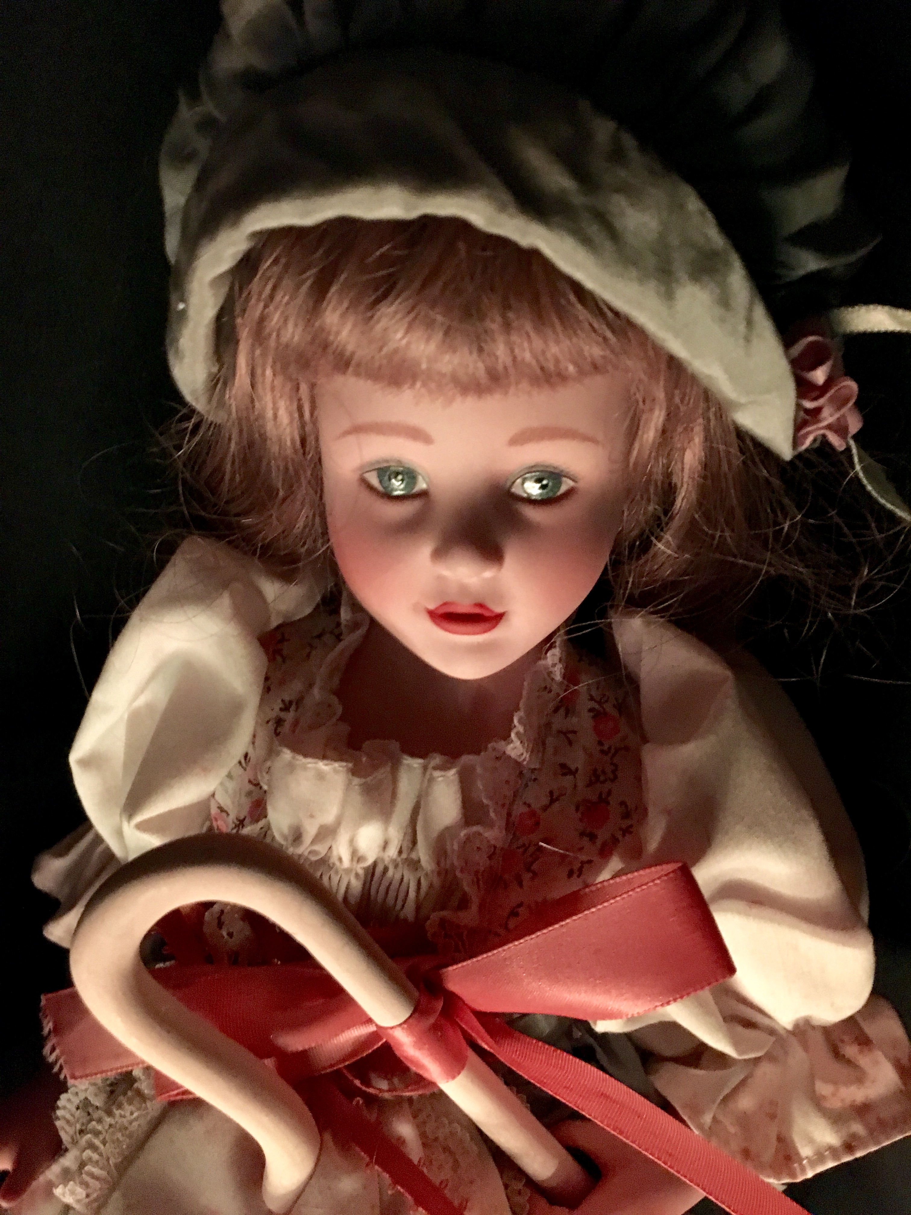 the haunted doll