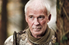 Ian McElhinney as Barristan Selmy in Game of Thrones