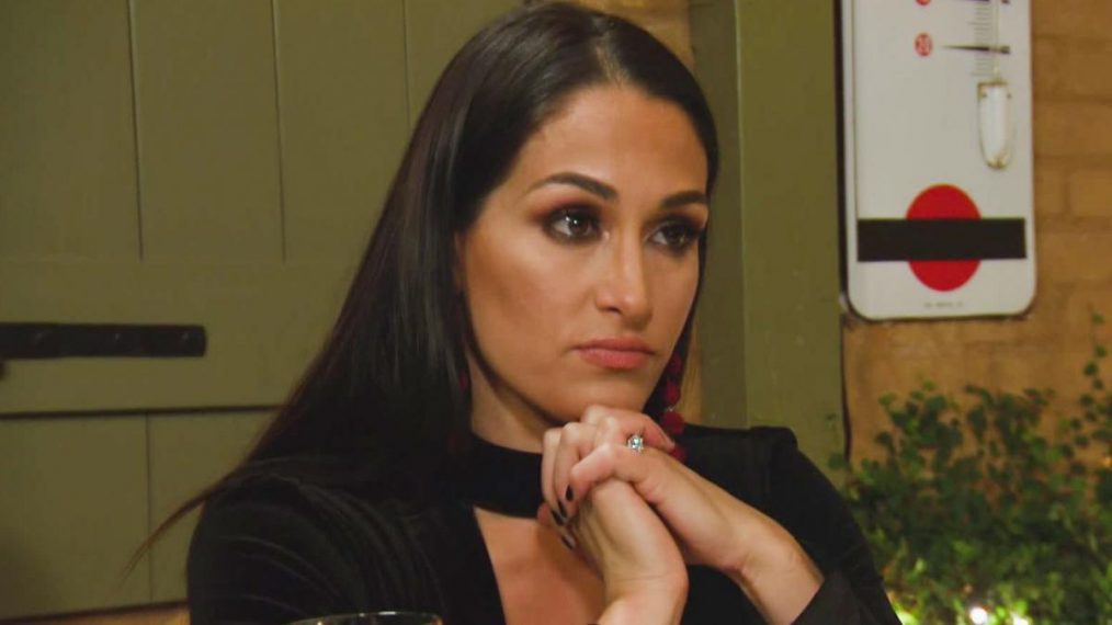 Brie and Nikki Bella: How We Do It - The Scott Brothers