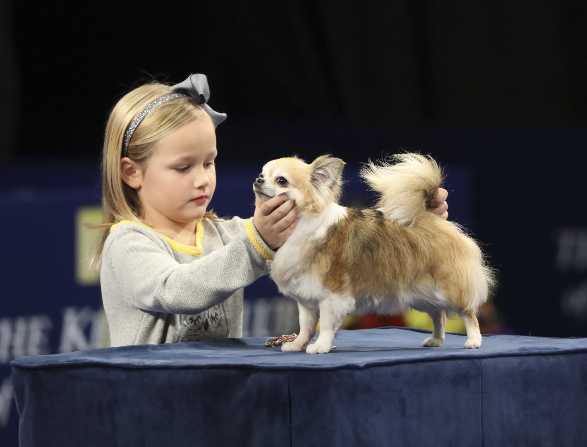 How to Watch the 2018 National Dog Show on Thanksgiving Day