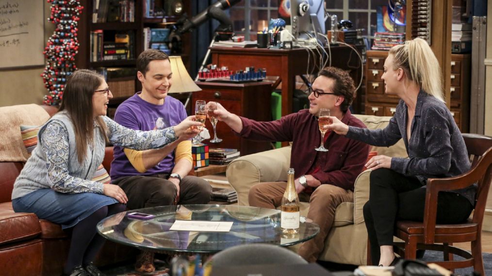 The Big Bang Theory Stars: Where Are They Now? | lupon.gov.ph