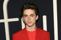 Timothée Chalamet attends the Los Angeles premiere of 'Beautiful Boy'