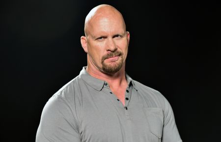 Steve Austin – TV Insider