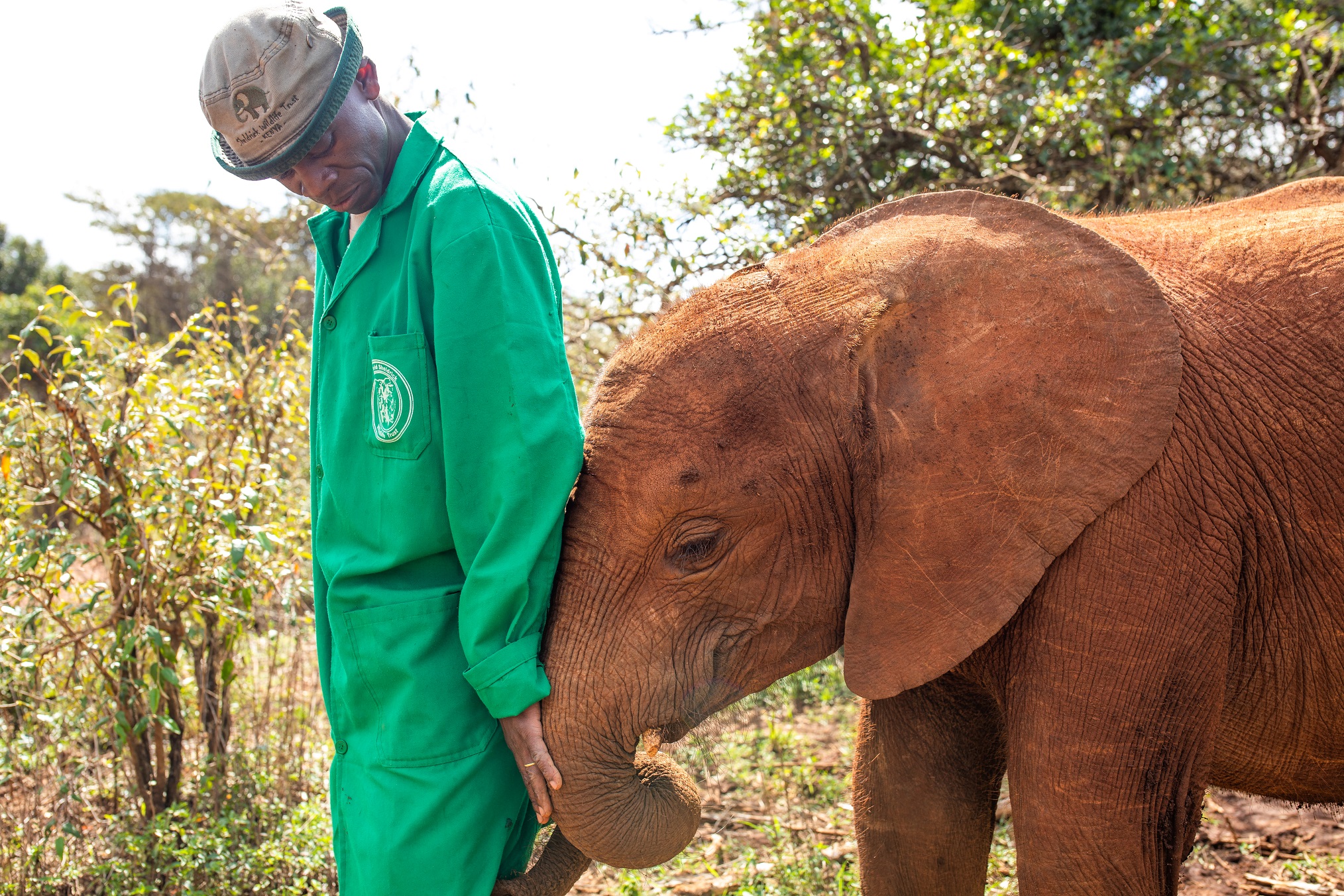 'Dodo Heroes': Get Up-Close With Animals From Around the Globe