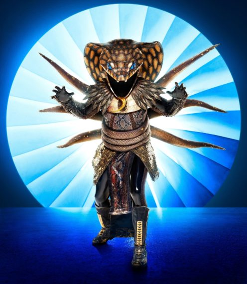 'The Masked Singer': Get a Sneak Peek at All of the Season ...