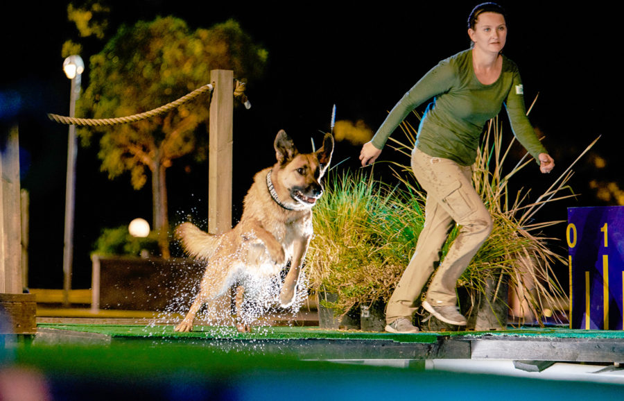 America's Top Dog A&E Reality Series Where To Watch