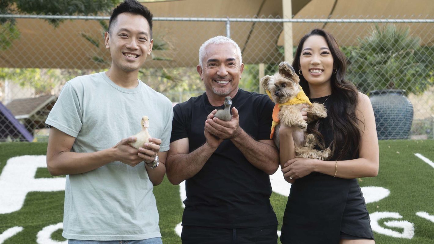 First Look: Cesar Millan Returns to TV With 'Better Human Better Dog ...