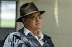 James Spader as Raymond 'Red' Reddington in The Blacklist