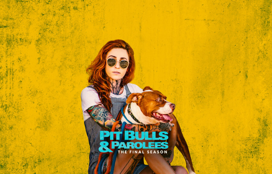 Pit Bulls and Parolees Animal Reality Series Where To Watch