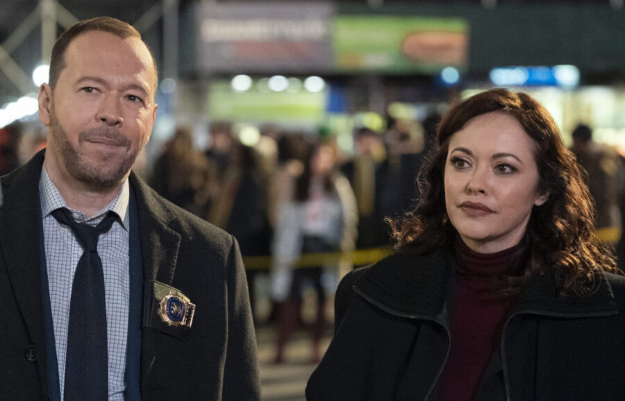 Blue Bloods CBS Series Where To Watch