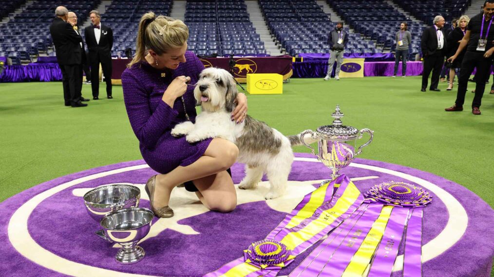 2025 Westminster Dog Show Neil King