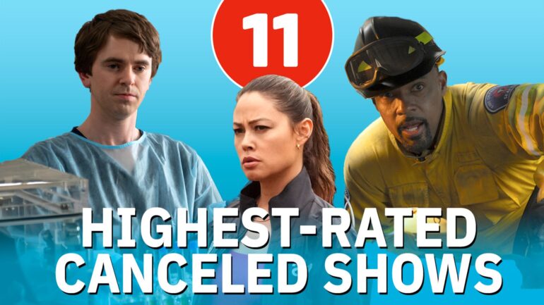 11 Highest-Rated Canceled Shows of 2024