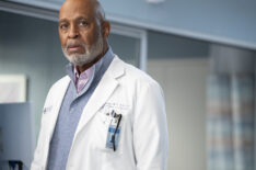 James Pickens Jr. as Richard Webber on 'Grey's Anatomy'