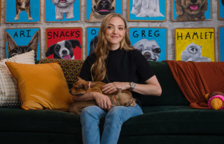 Amanda Seyfried for Clear the Shelters campaign