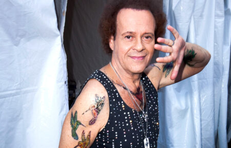 Richard Simmons at the 2013 LA Gay Pride Festival