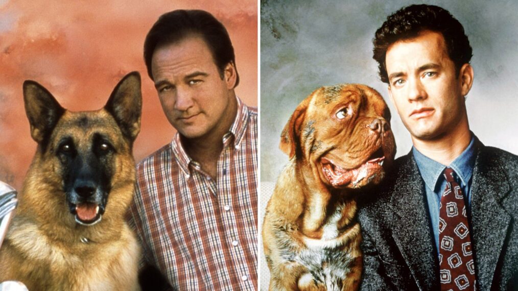 'K-9,' 'Turner & Hooch'