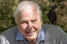 'Secret World of Sound With David Attenborough'