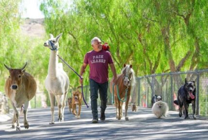 Cesar Millan