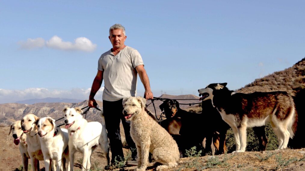 Cesar Millan