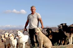 'Dog Whisperer' Cesar Millan Opens Up About His 20 Years on TV, Helping Oprah & Training Cats