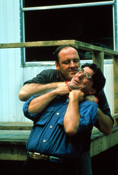 James Gandolfini and Tony Ray Rossi in 'The Sopranos'