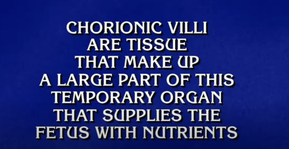 jeopardy-11-27