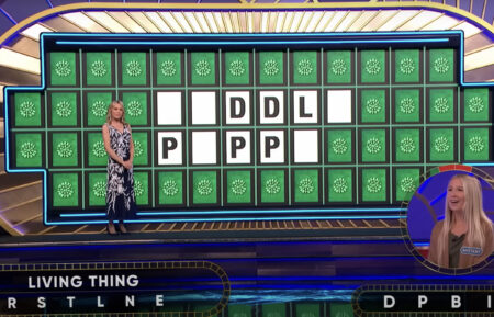 wheel-of-fortune-11-25