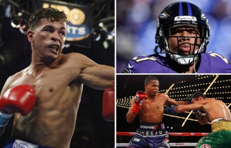 Arturo Gatti, Ray Rice, Felix Verdejo