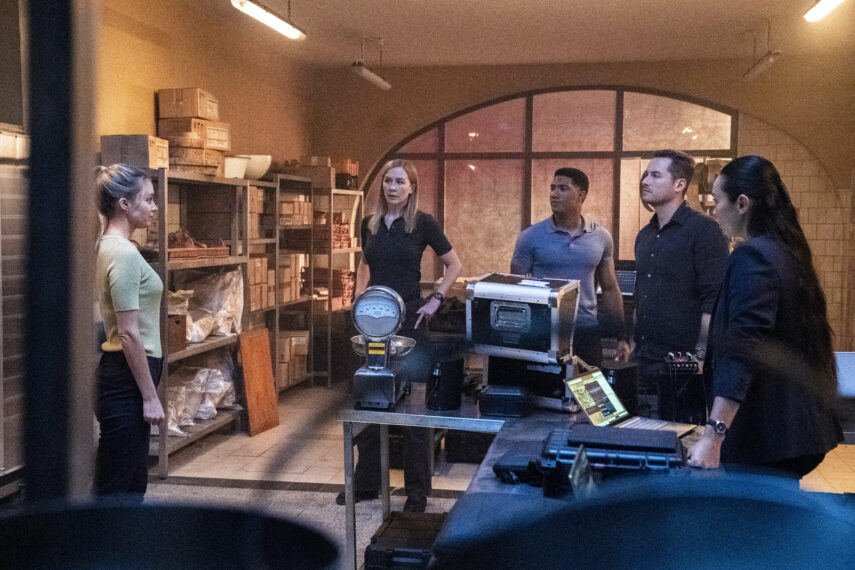 Christina Wolfe as Special Agent Amanda Tate, Eva-Jane Willis as Europol Agent Megan “Smitty” Garretson, Carter Redwood as Special Agent Andre Raines, Jesse Lee Soffer as Supervisory Special Agent Wesley 