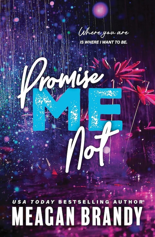 Promise Me Not by Meagan Brandy