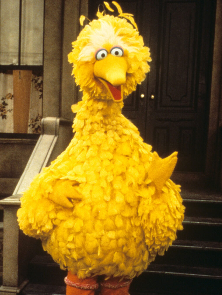 Big Bird on 'Sesame Street'