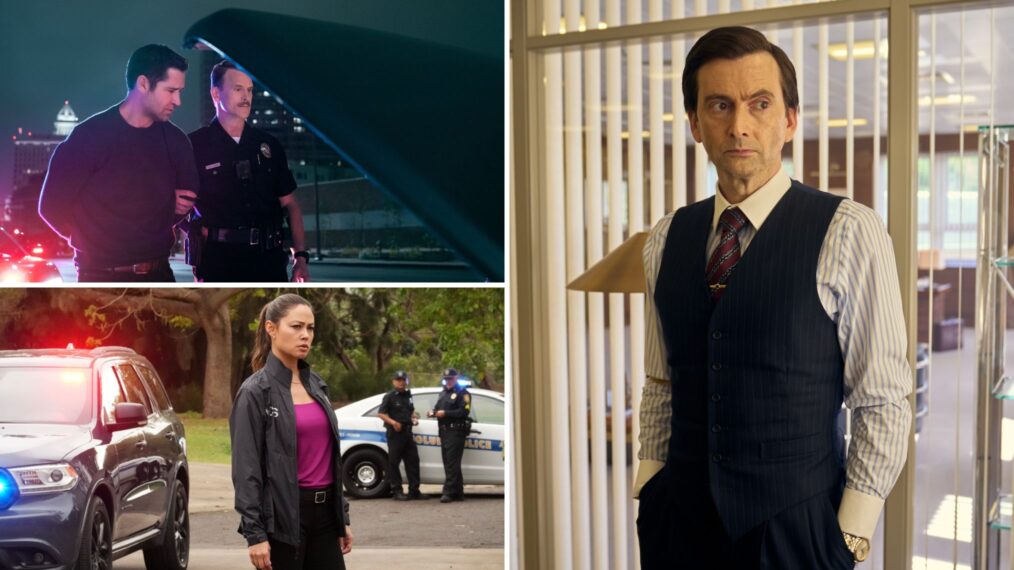 'The Lincoln Lawyer,' 'NCIS: Hawai'i,' and 'Rivals'