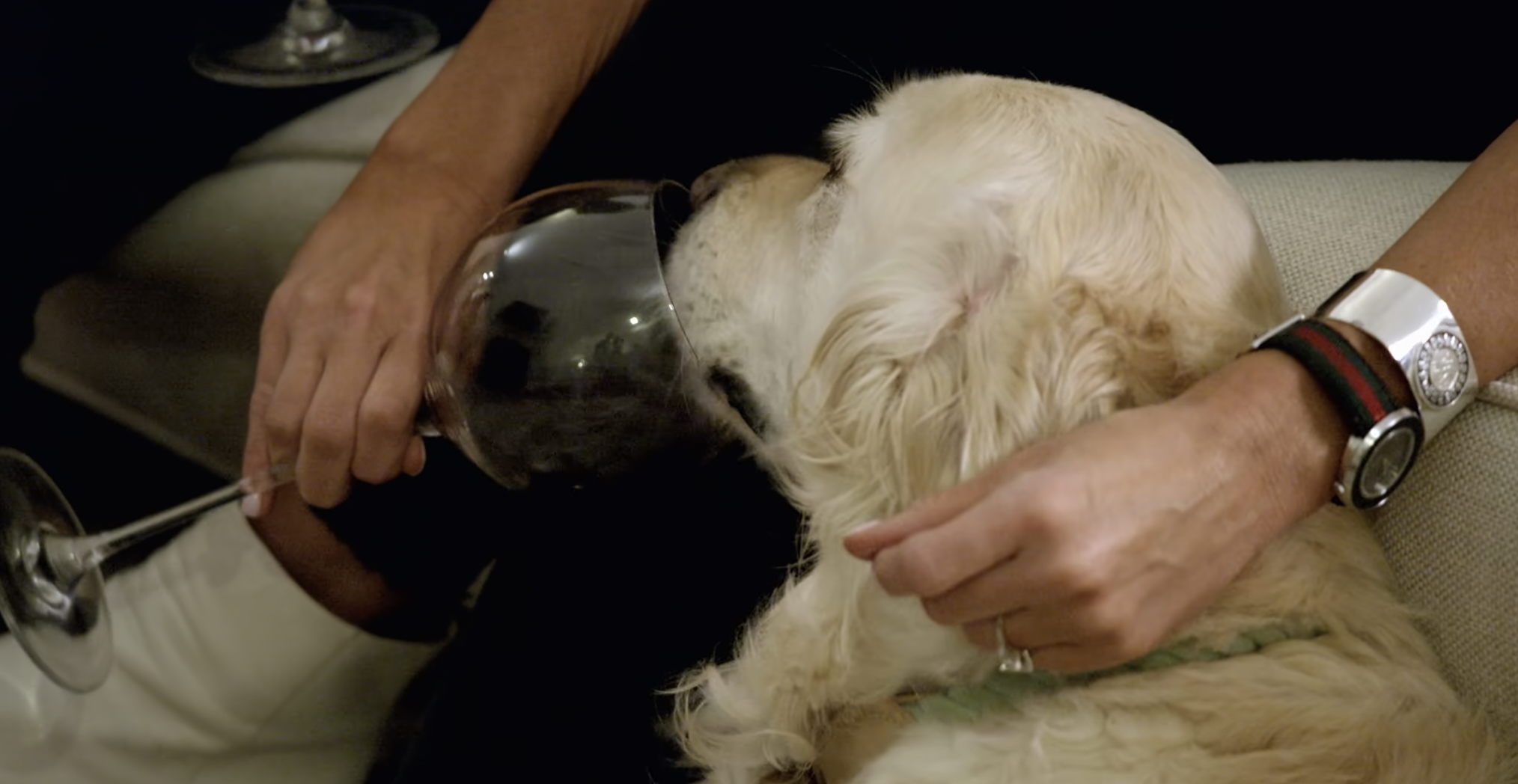 Jessica's dog in 'Love Is Blind' Season 1