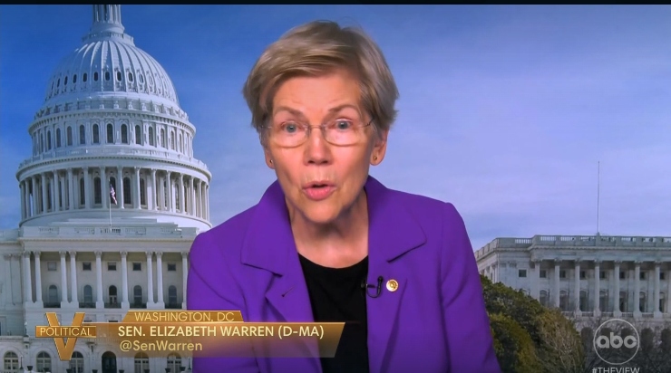 Watch Elizabeth Warren's Stirring Message to Democrats on 'The View'