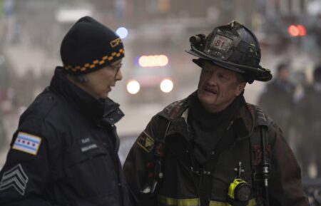 Amy Morton as Desk Sgt. Trudy Platt, Christian Stolte as Randy 