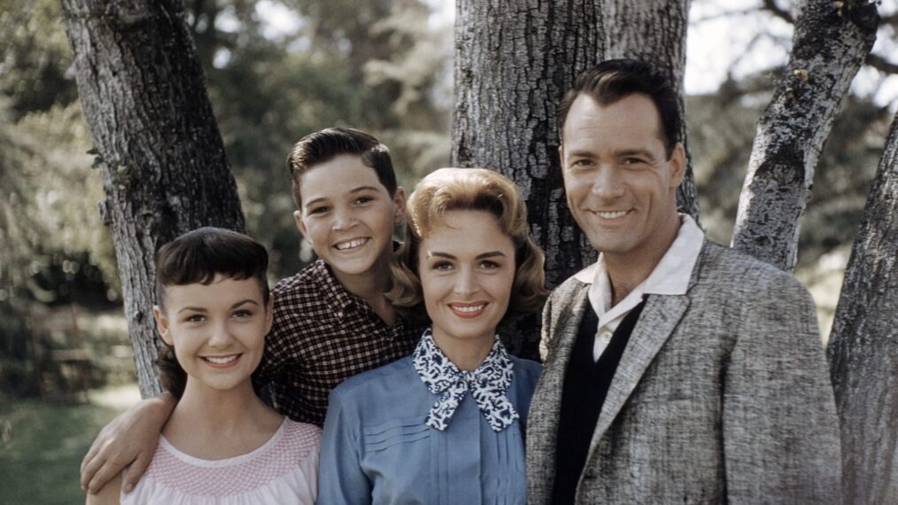 THE DONNA REED SHOW, from left: Shelley Fabares, Paul Petersen, Donna Reed, Carl Betz, (1960), 1958-1966