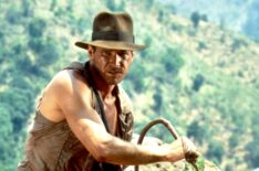 Harrison Ford in Indiana Jones and the Temple of Doom