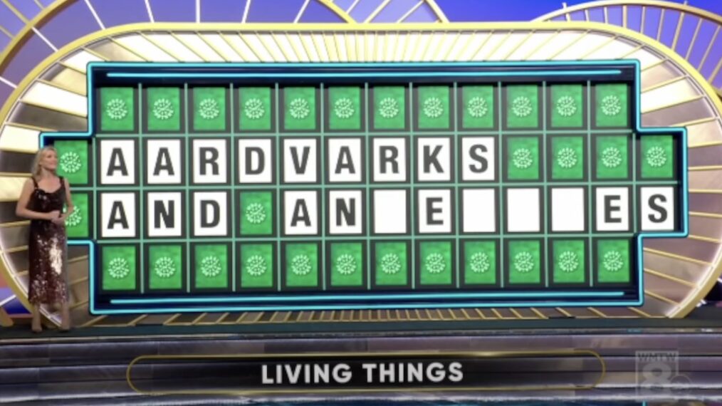 Wheel of Fortune puzzle