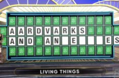 'Wheel of Fortune' Sparks Controversy as Player Wins Despite 'Incorrect' Answer