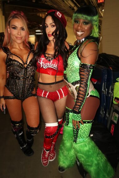 Natalya Nikki Bella Naomi