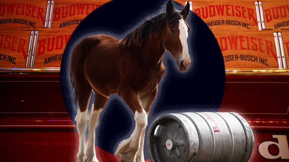 beer cases are seen on display inside a stable for the Budweiser Clydesdales collage