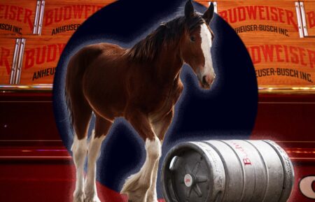 beer cases are seen on display inside a stable for the Budweiser Clydesdales collage