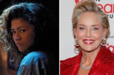 'Euphoria': Sharon Stone Confirms Season 3 Role