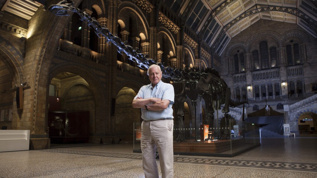 Sir David Attenborough in 'Nature's 'Museum Alive'