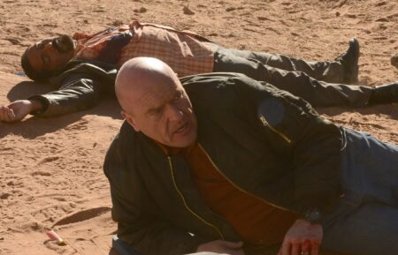 Dean Norris in 'Breaking Bad's Season 5 episode 'Ozymandias'